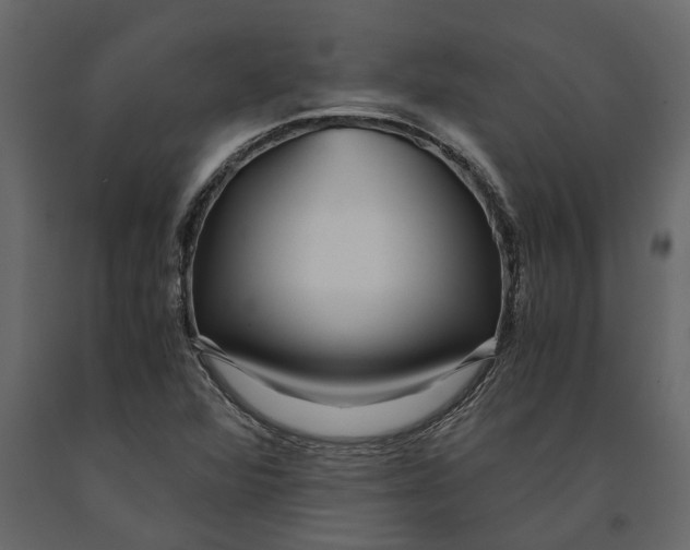 X0000091101360200708271308