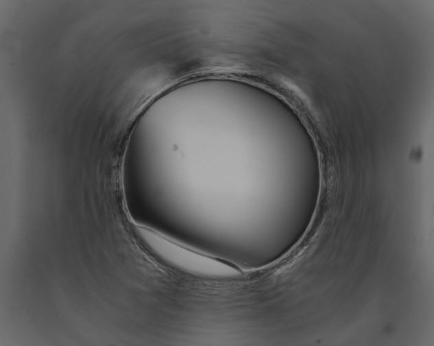 X0000091101361200708271308