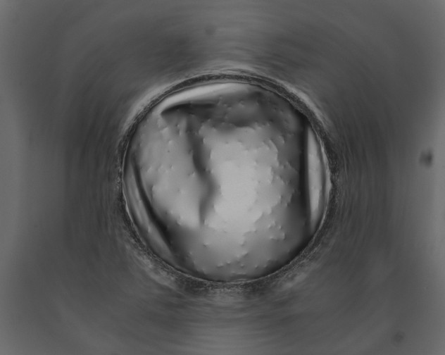 X0000091101363200708271308