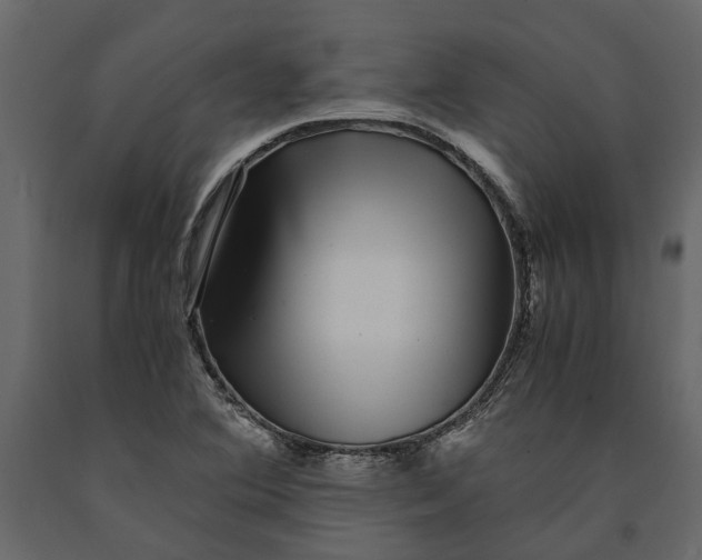 X0000091101364200708271308