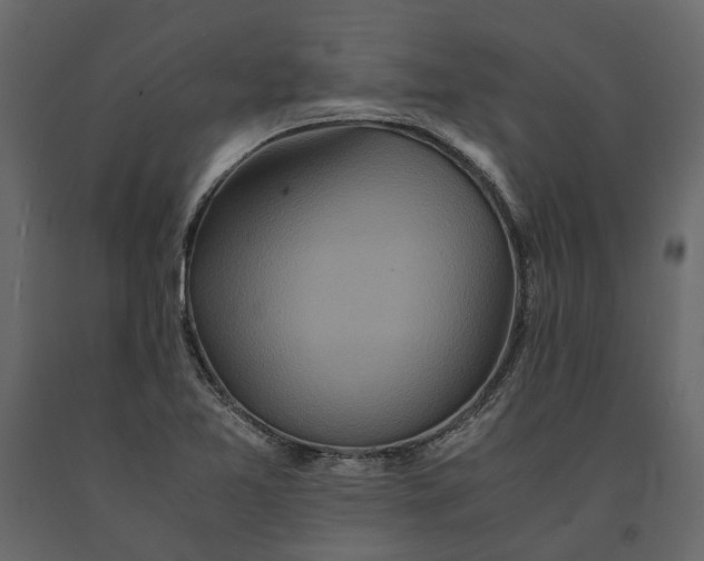 X0000091101365200708271308