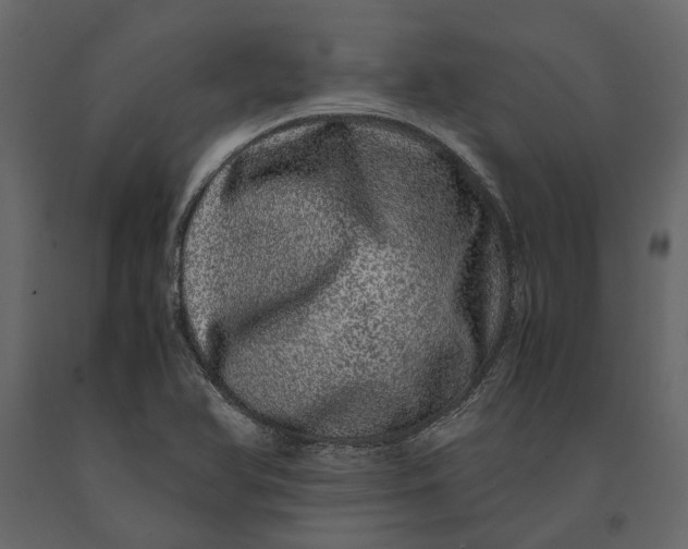 X0000091101366200708271308