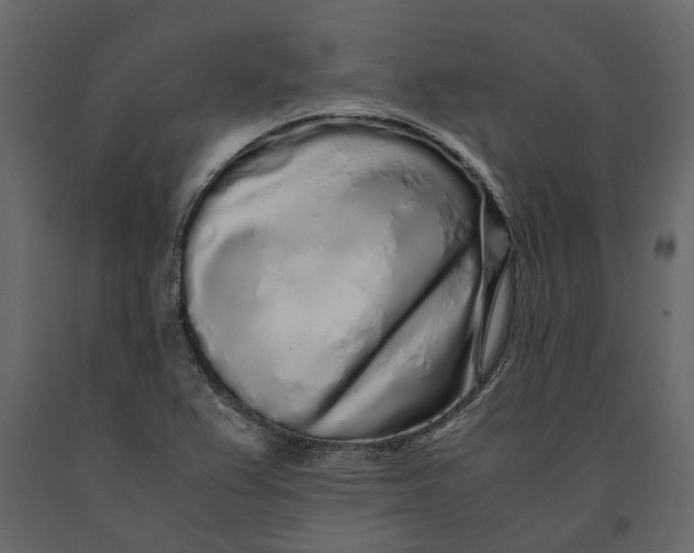 X0000091101367200708271308