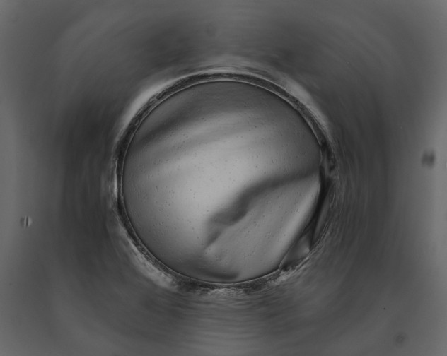 X0000091101368200708271308