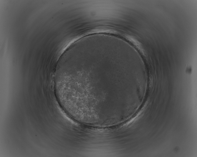 X0000091101369200708271308