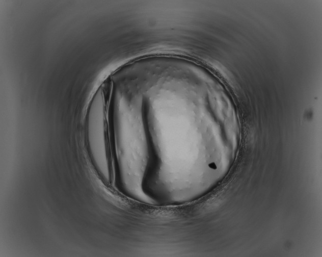 X0000091101371200708271308