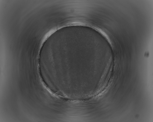 X0000091101373200708271308