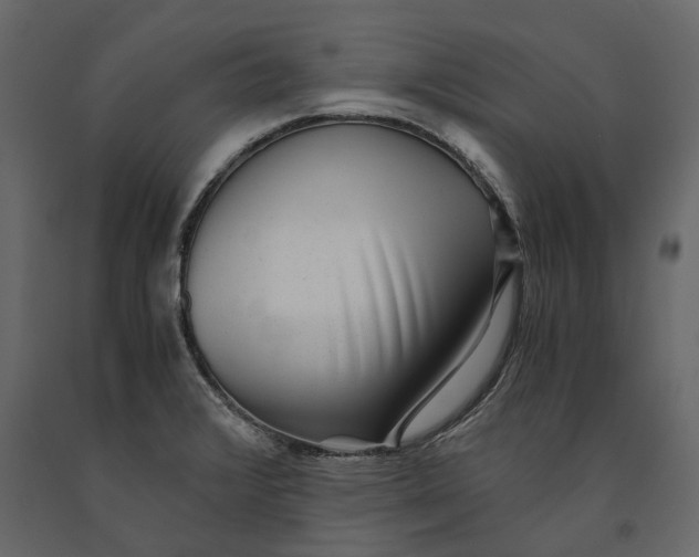 X0000091101376200708271308