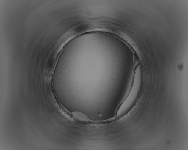 X0000091101377200708271308