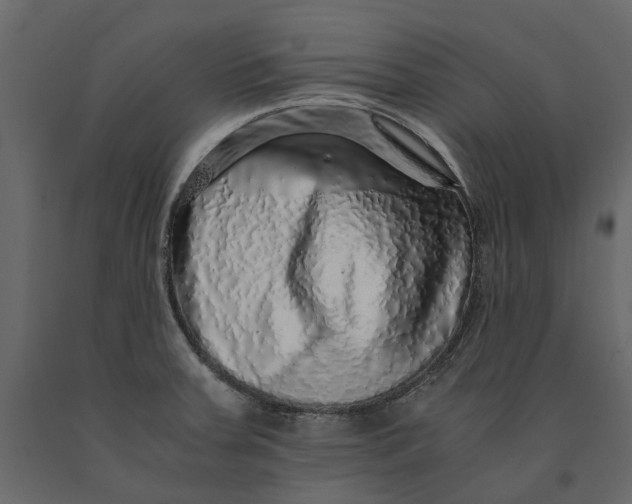 X0000091101379200708271308