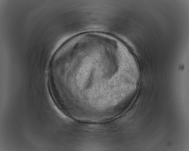 X0000091101383200708271307