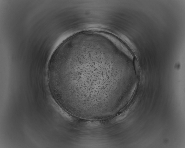 X0000091101384200708271307