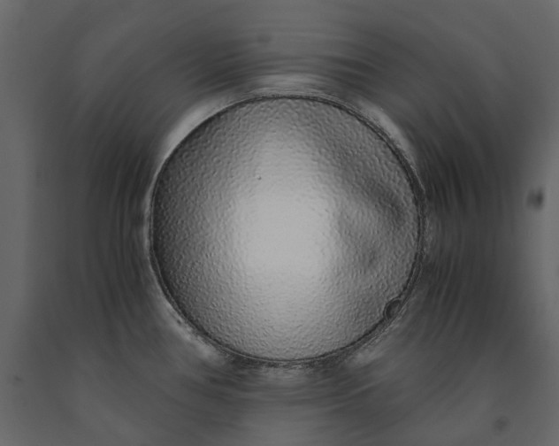 X0000091101386200708271307