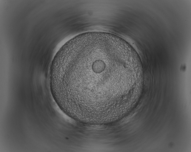 X0000091101387200708271307