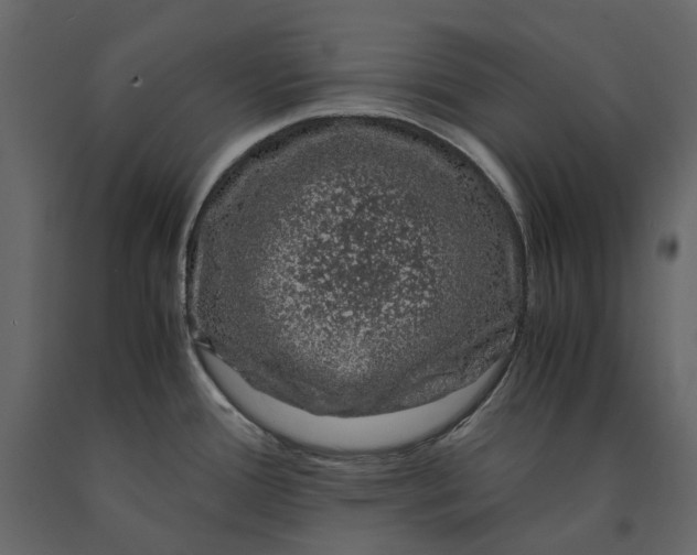 X0000091101388200708271307