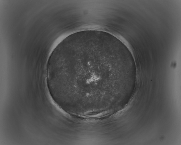 X0000091101389200708271307