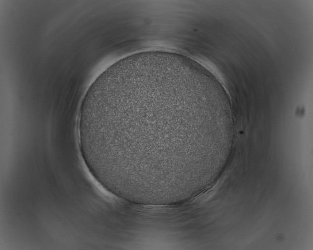 X0000091101391200708271307