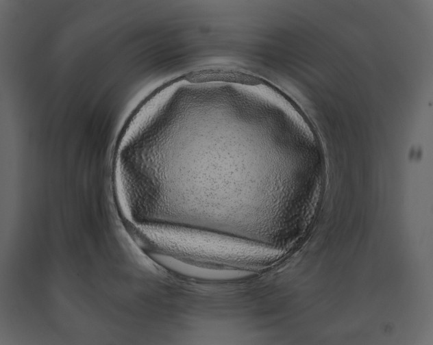 X0000091101392200708271307