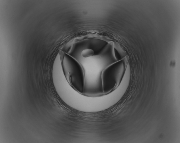 X0000091101394200708271307