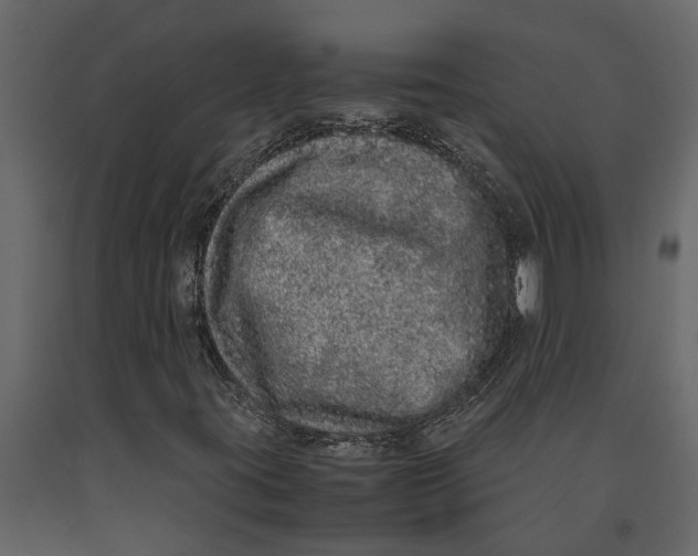 X0000091101395200708271307