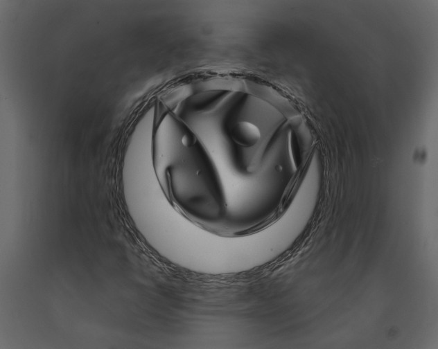 X0000091101398200708271307