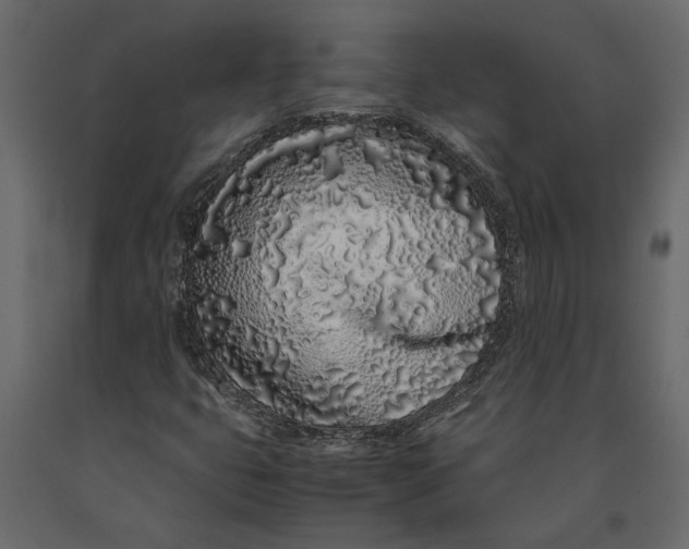 X0000091101399200708271307