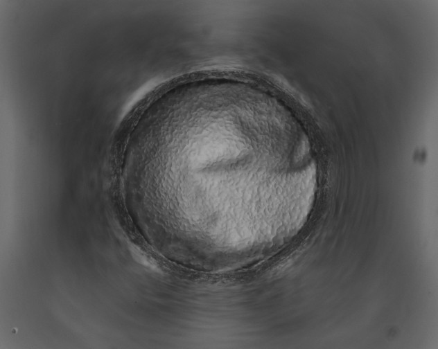 X0000091101400200708271307