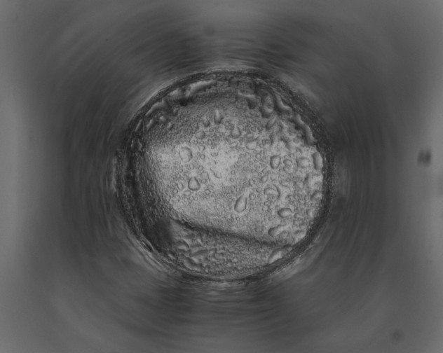 X0000091101401200708271307