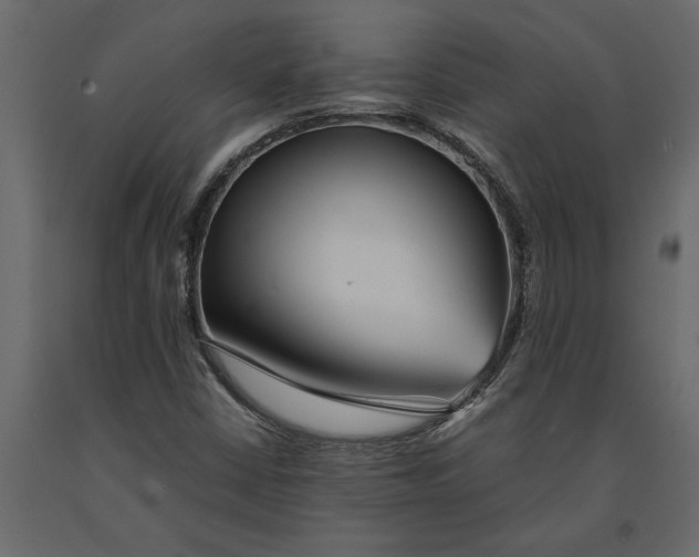 X0000091101402200708271307