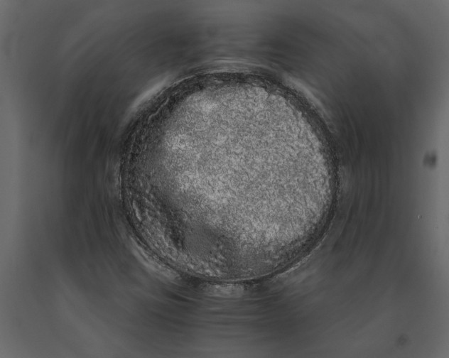 X0000091101403200708271307