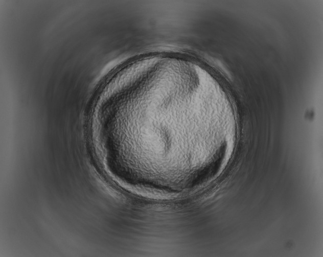 X0000091101404200708271307