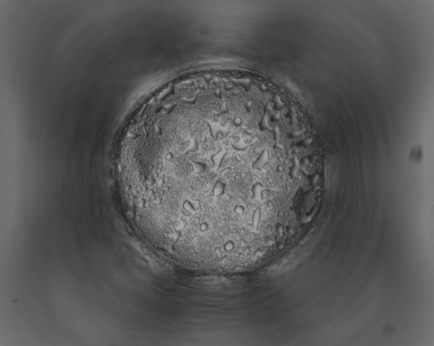 X0000091101405200708271307