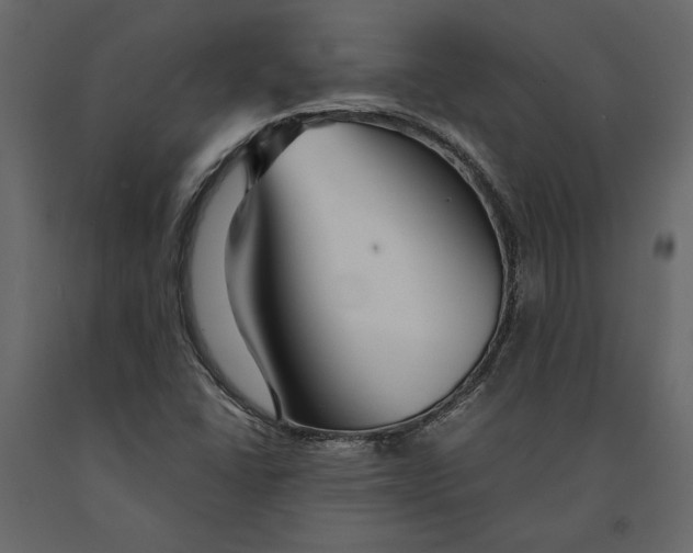 X0000091101406200708271307