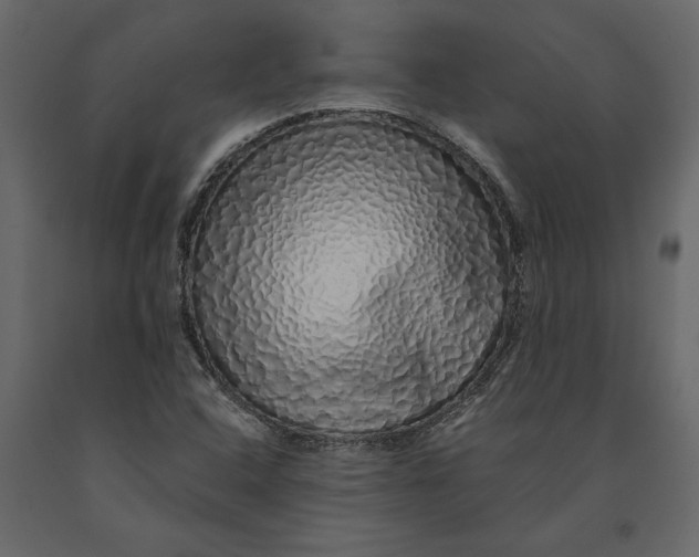 X0000091101408200708271307