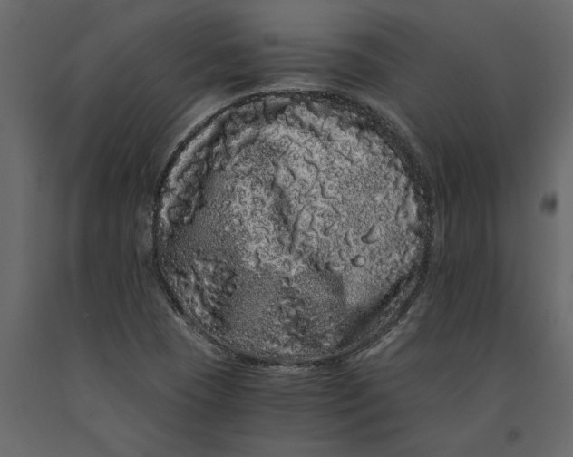 X0000091101409200708271307