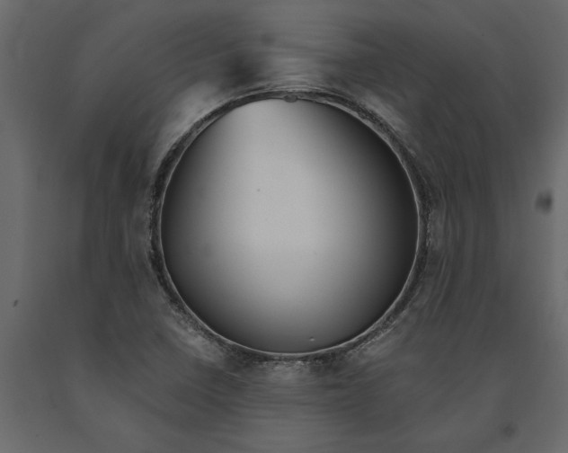 X0000091101410200708271307