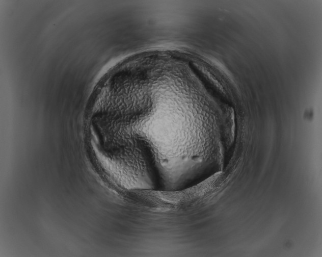 X0000091101412200708271307