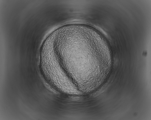 X0000091101413200708271307