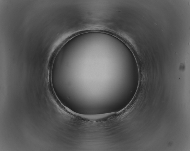 X0000091101414200708271307