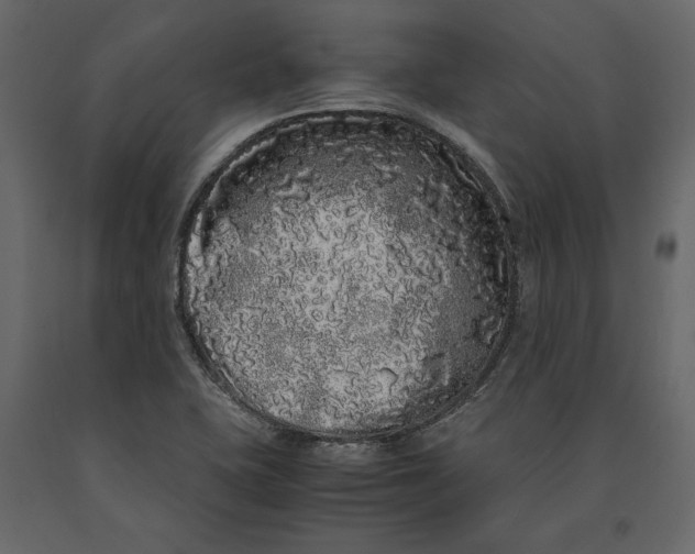 X0000091101415200708271307