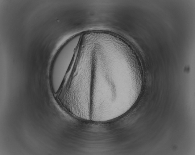 X0000091101416200708271307