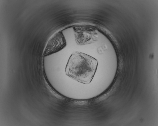 X0000091101417200708271307