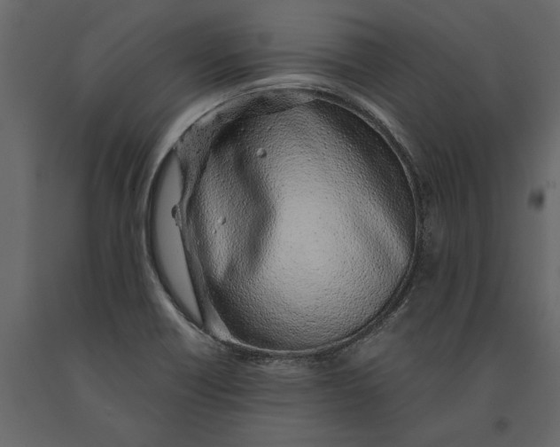 X0000091101418200708271307