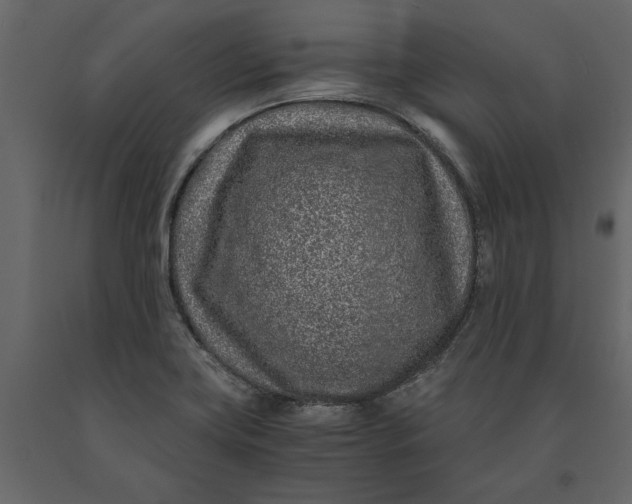 X0000091101419200708271307