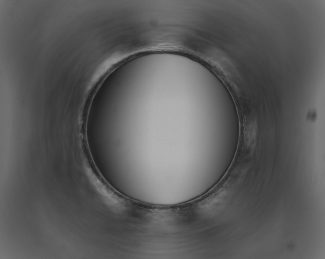 X0000091101422200708271307