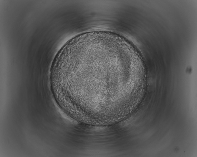 X0000091101423200708271307