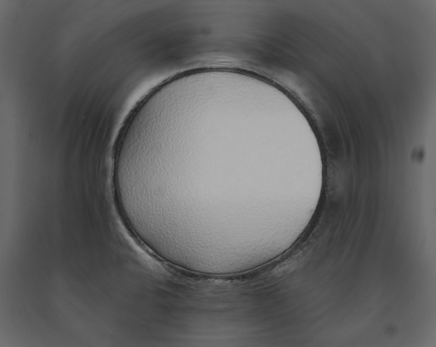 X0000091101424200708271307