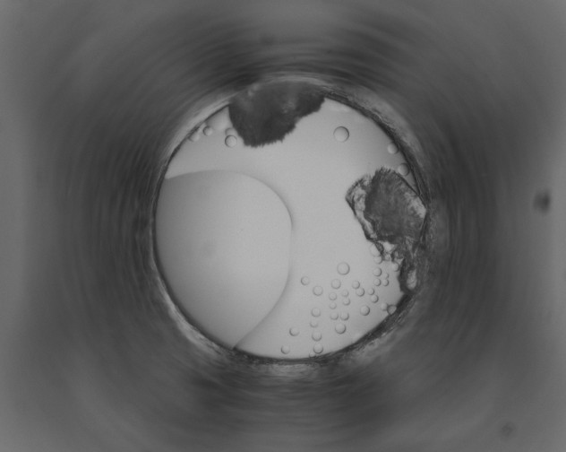 X0000091101425200708271307