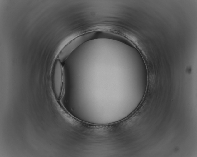 X0000091101426200708271307