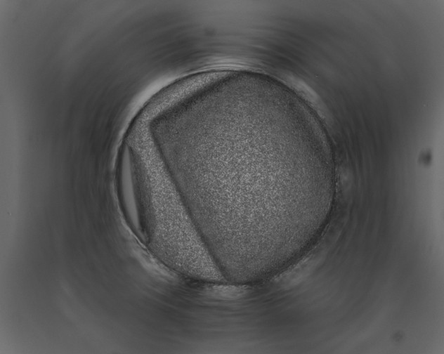 X0000091101427200708271307